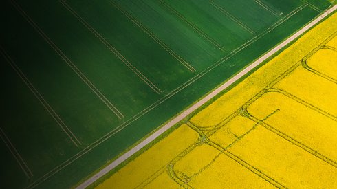 Aerial view of two fields