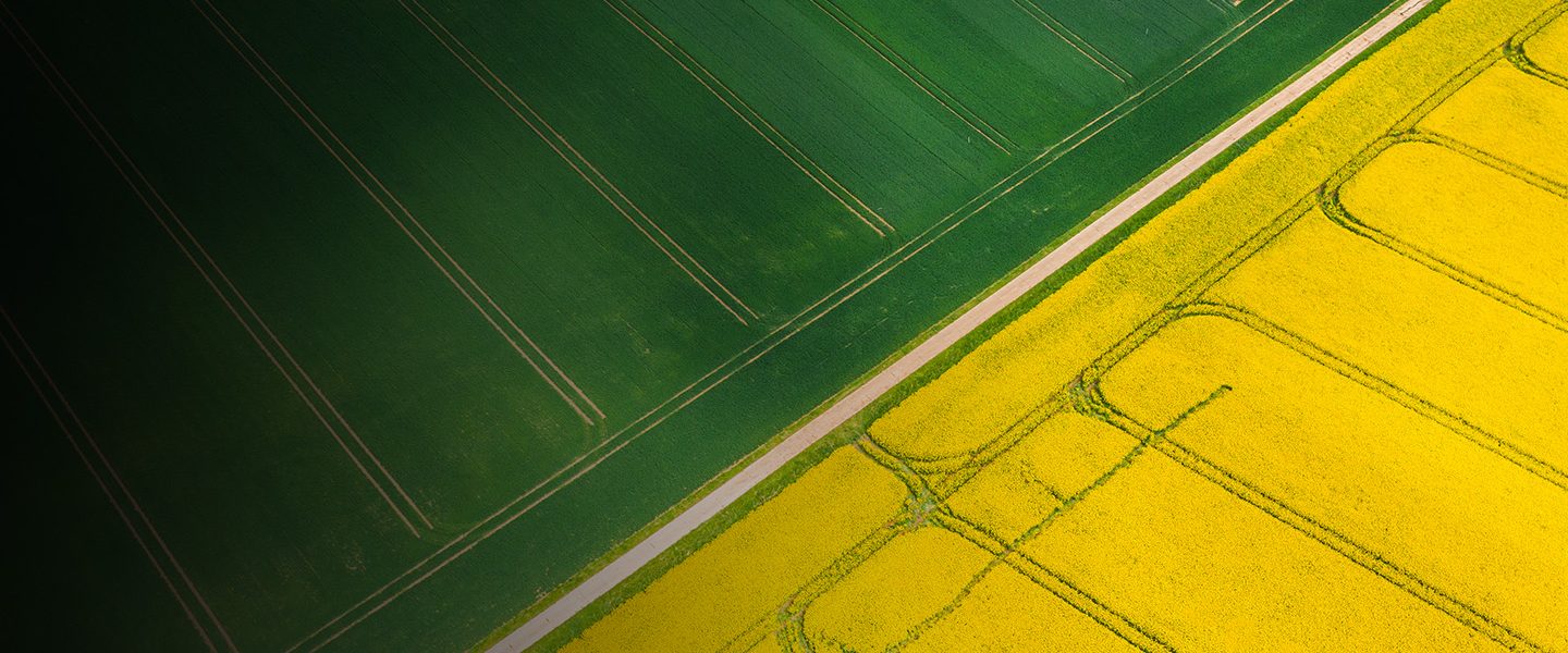 Aerial view of two fields