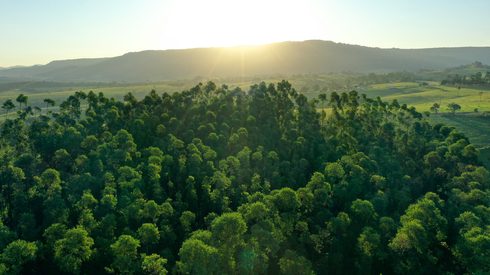 Land, Nature, Outdoors