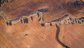 Aerial view of wheat fields